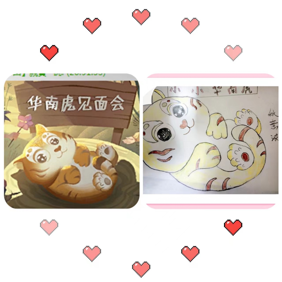 超萌小老虎