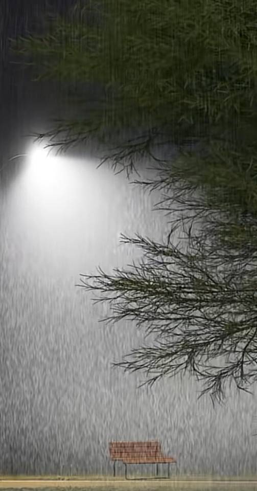 (ง •̀_•́)ง