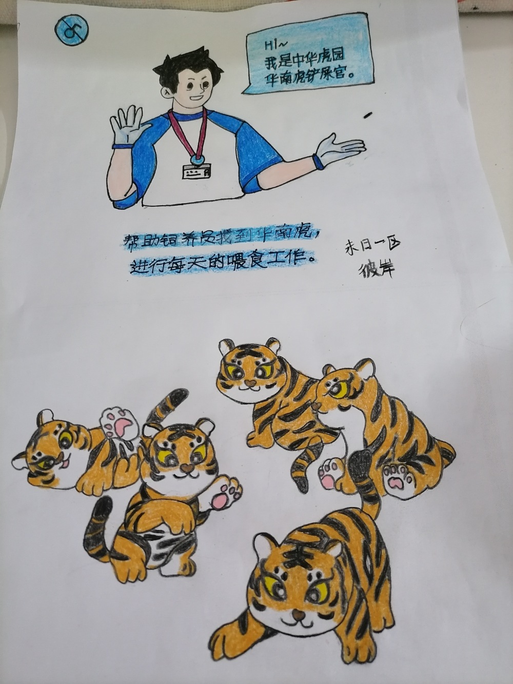 铲屎官和小虎们