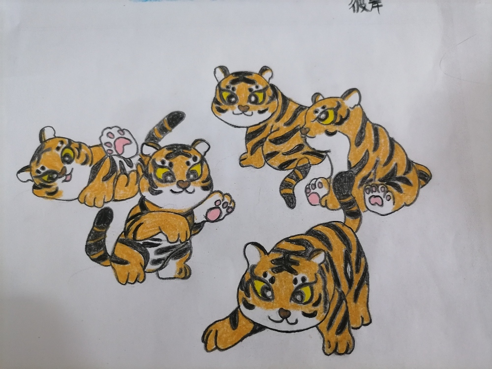 铲屎官和小虎们