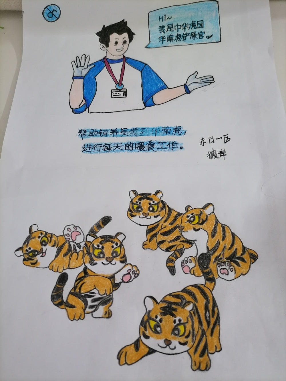 铲屎官和小虎们