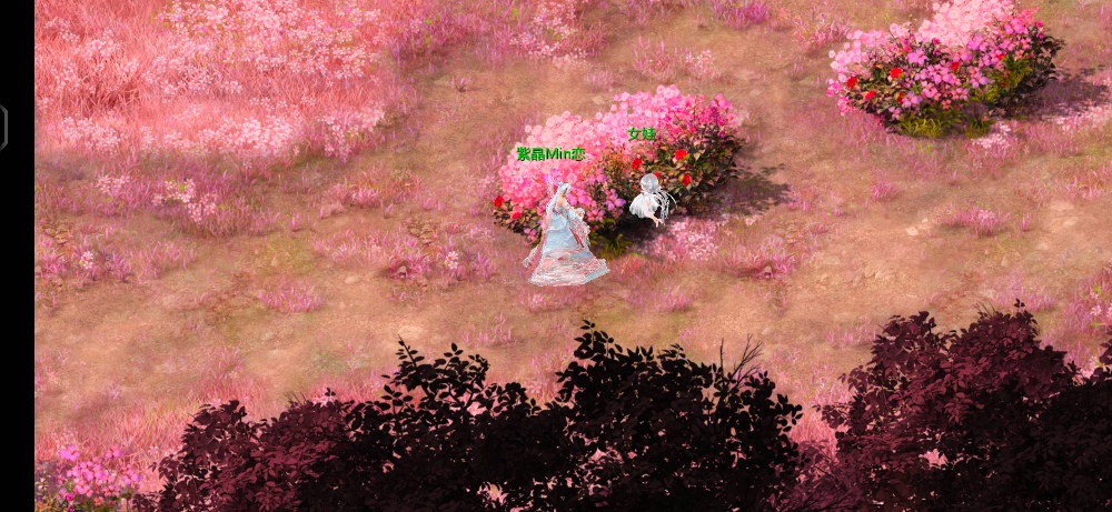 精卫