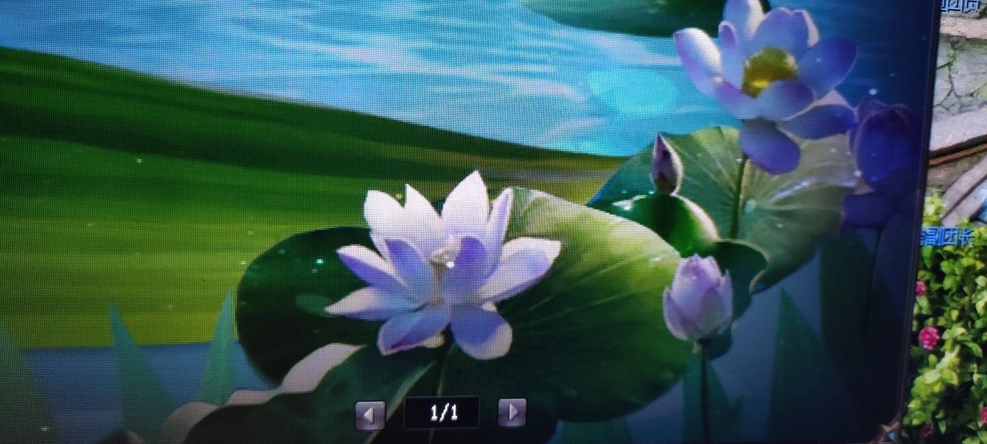 真好，真好看