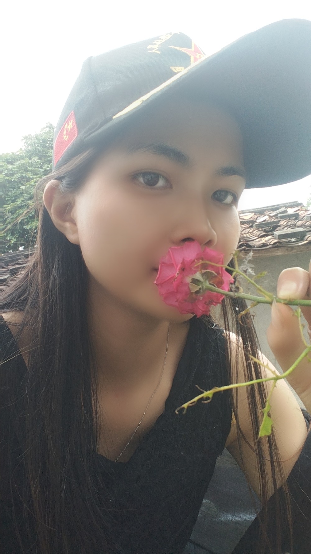 叔叔家的玫瑰花