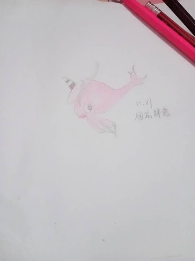涂口红的玫瑰鲸