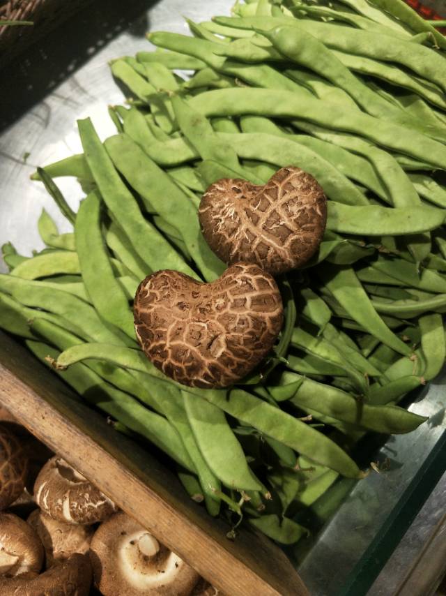 第一次  达人秀工资到帐