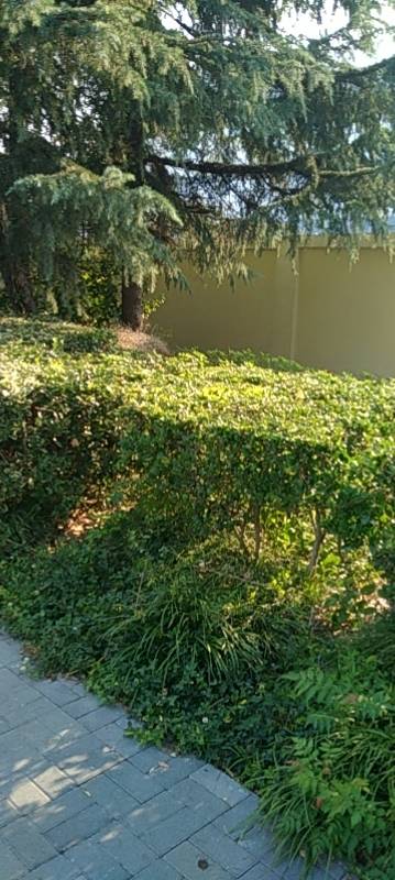 加油