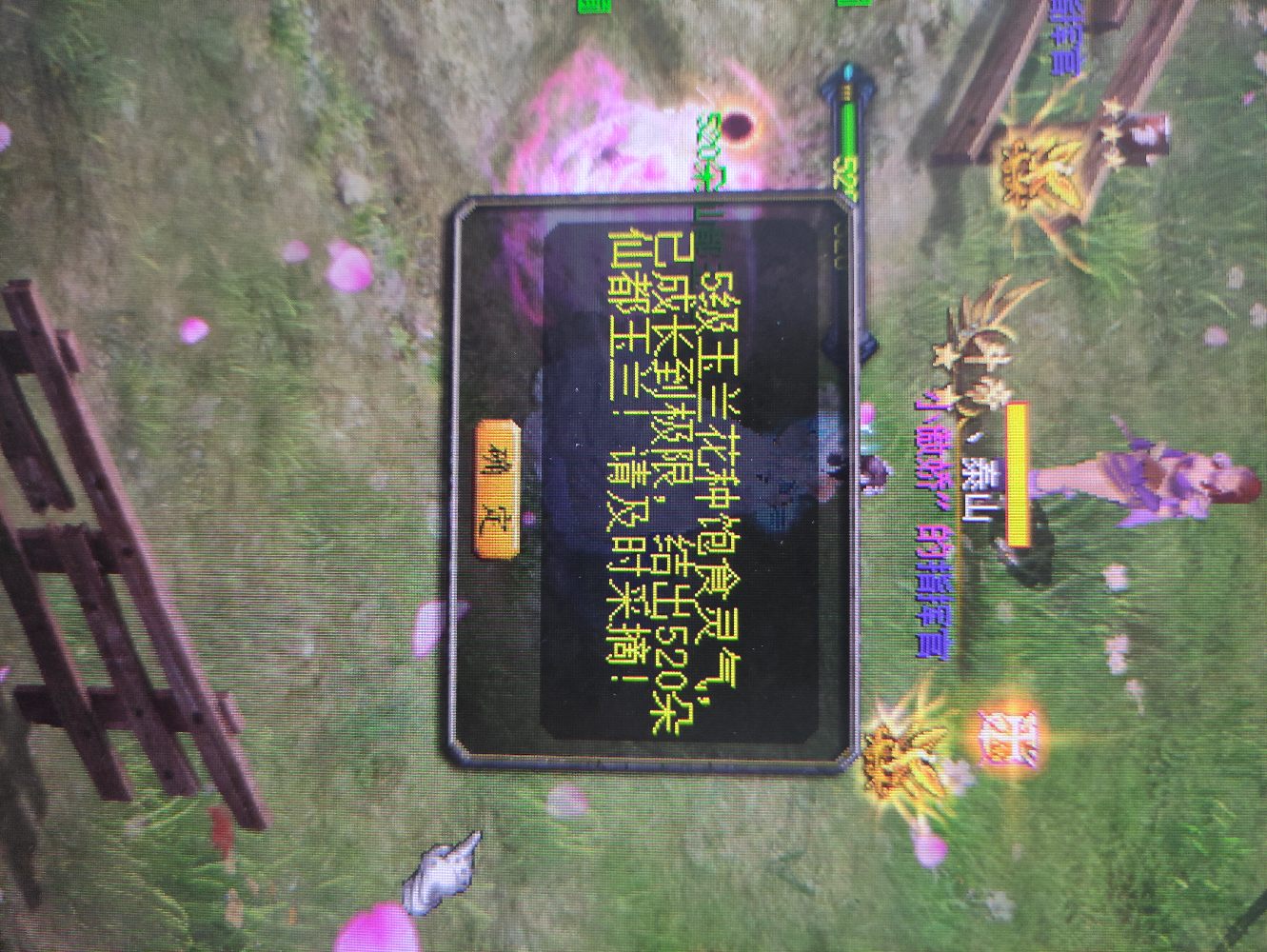人品天花板