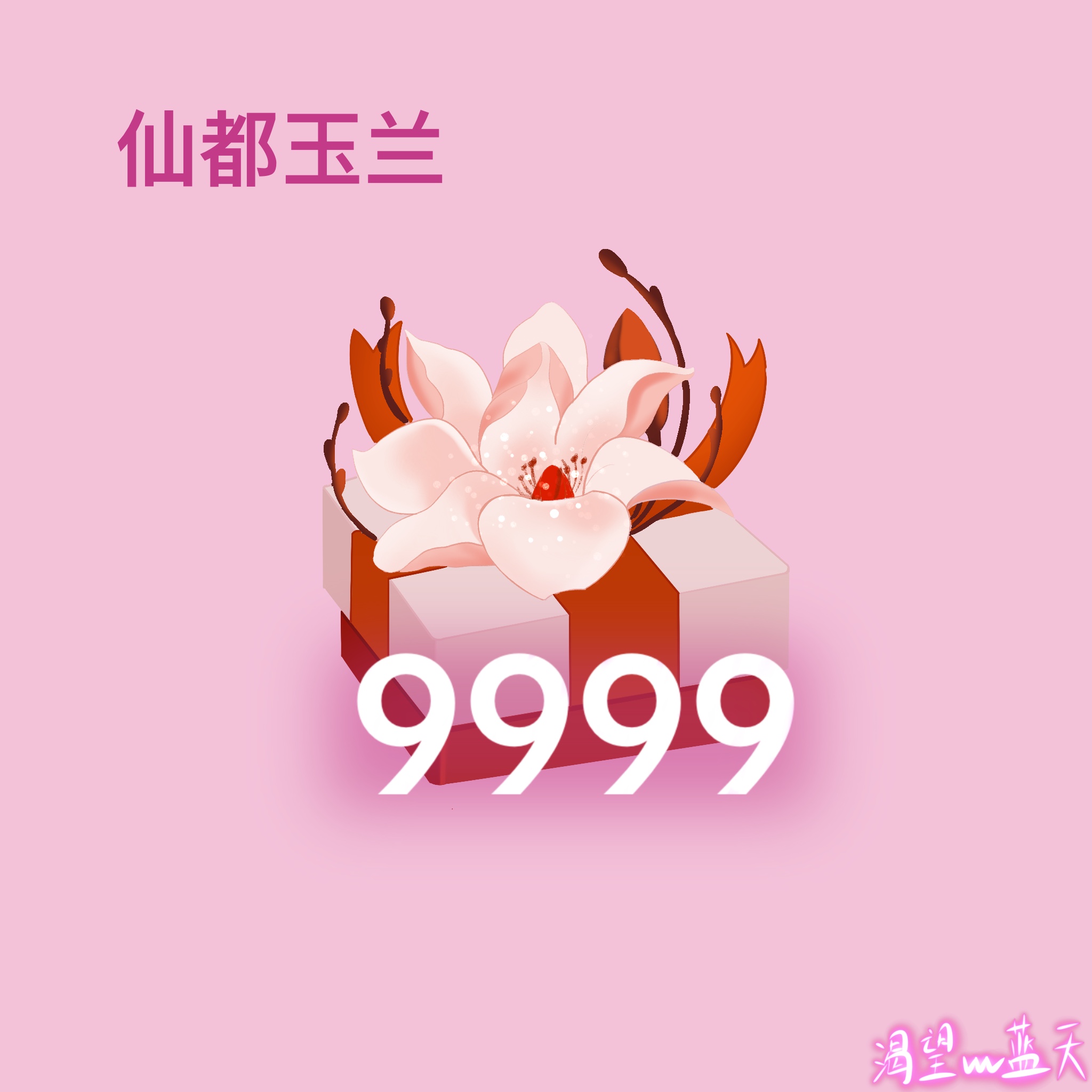 仙都玉兰9999礼箱