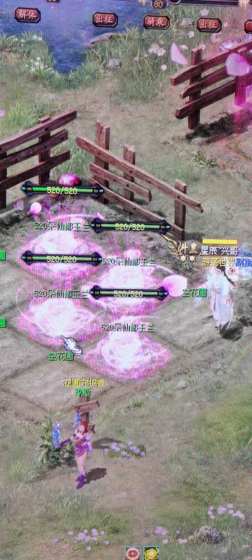 补发520花花