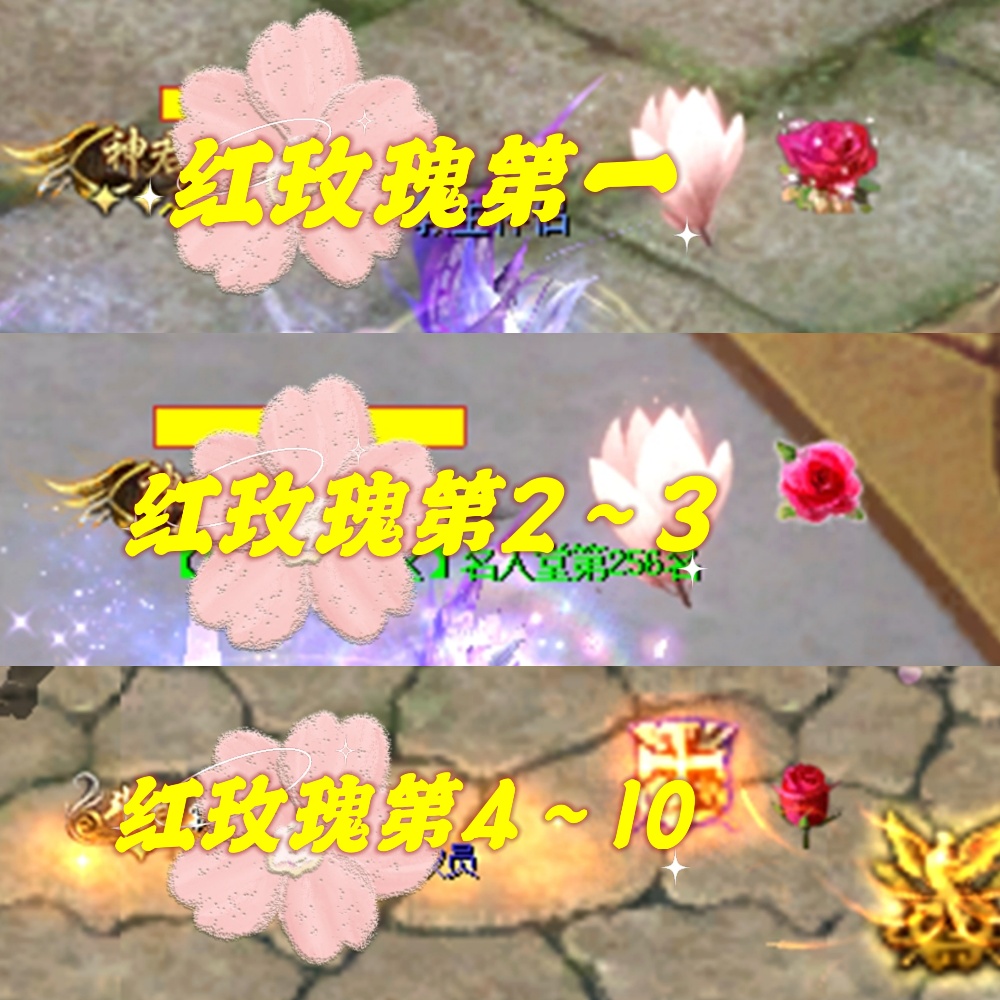 玫瑰