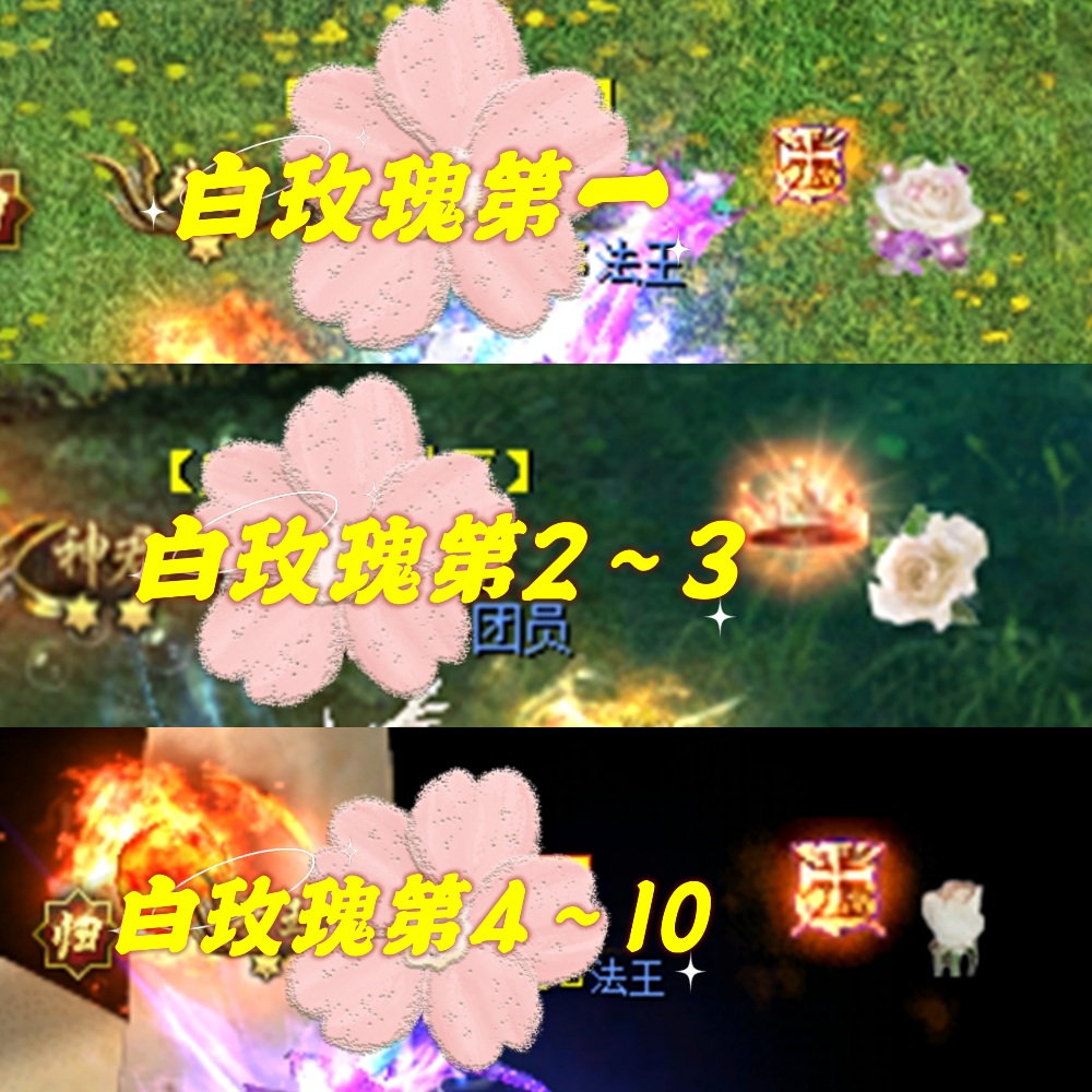 玫瑰