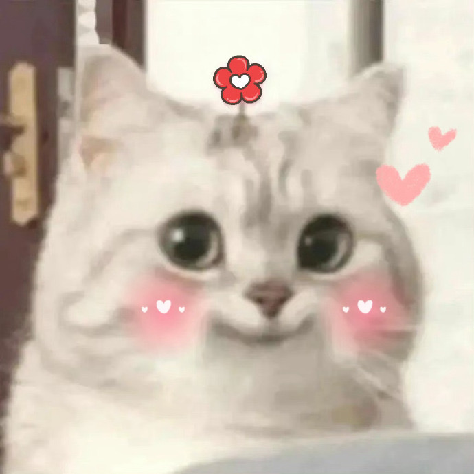 ╰(*´︶`*)╯
