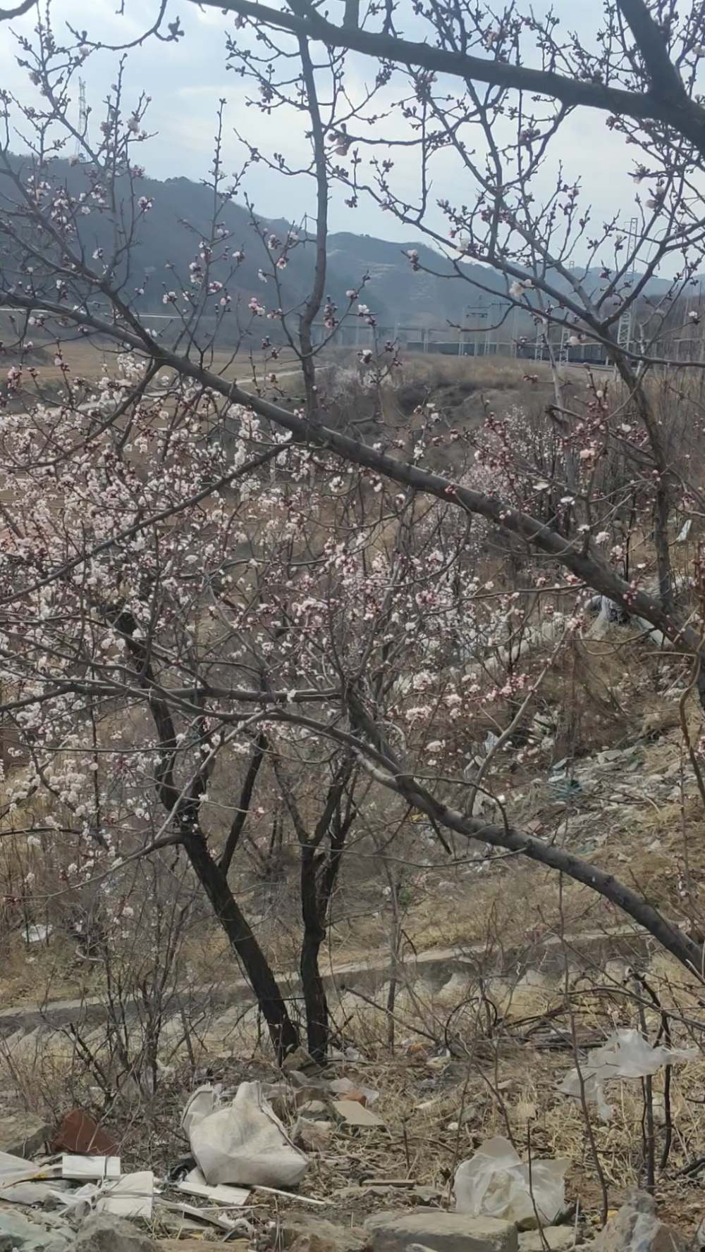 大爷，你还认得出来这是哪吗？