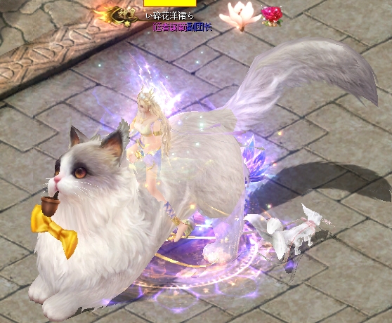 可爱喵🐱