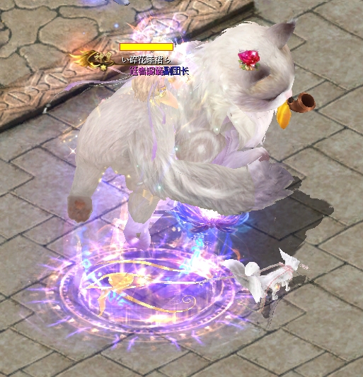 可爱喵🐱