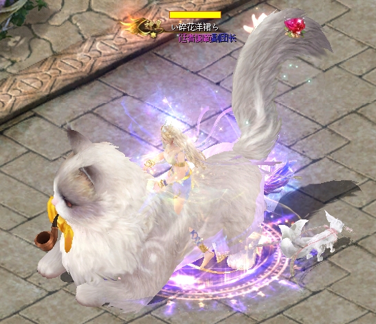 可爱喵🐱