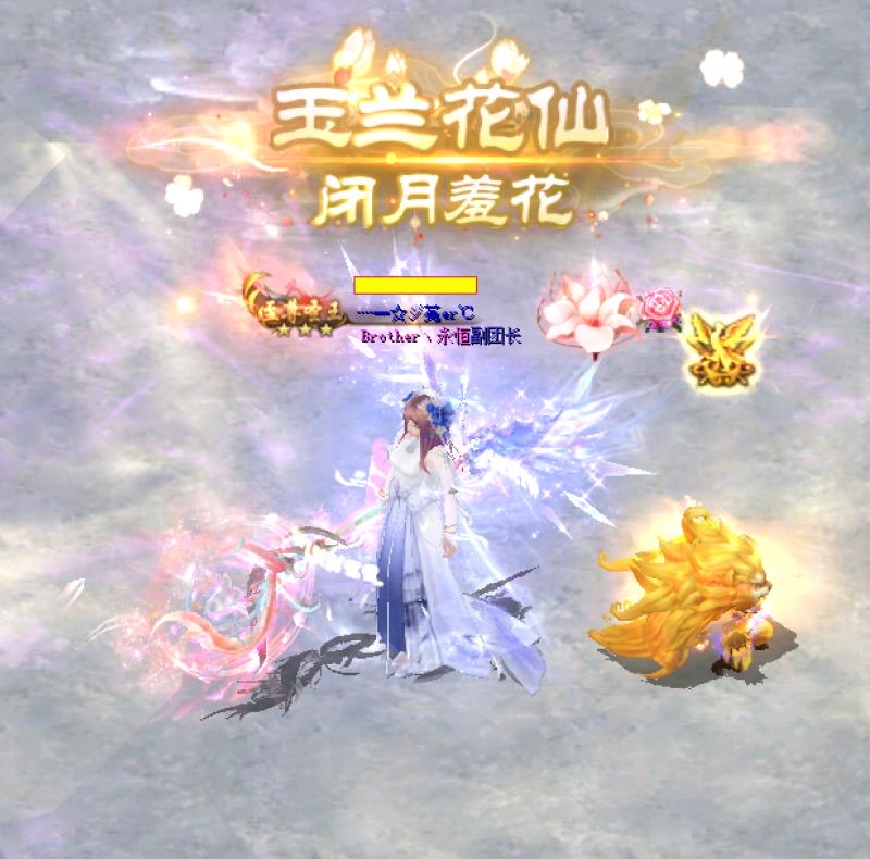 一款有良心的外套