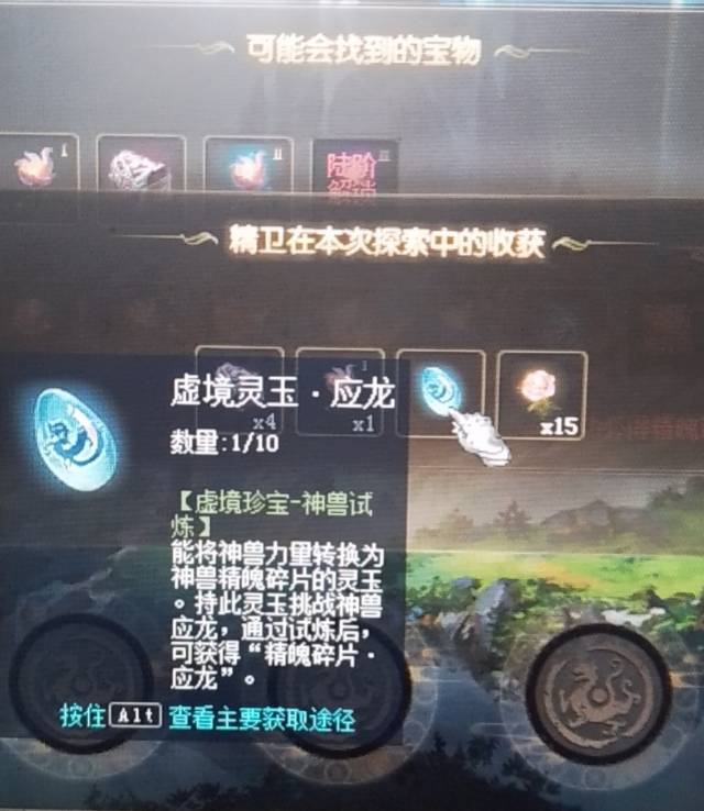 终于见到应龙