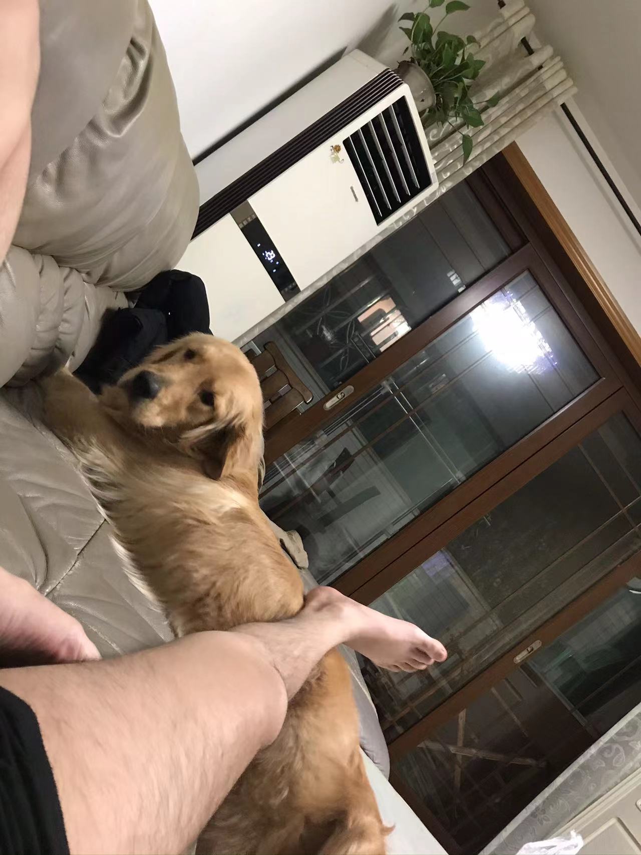 闲的