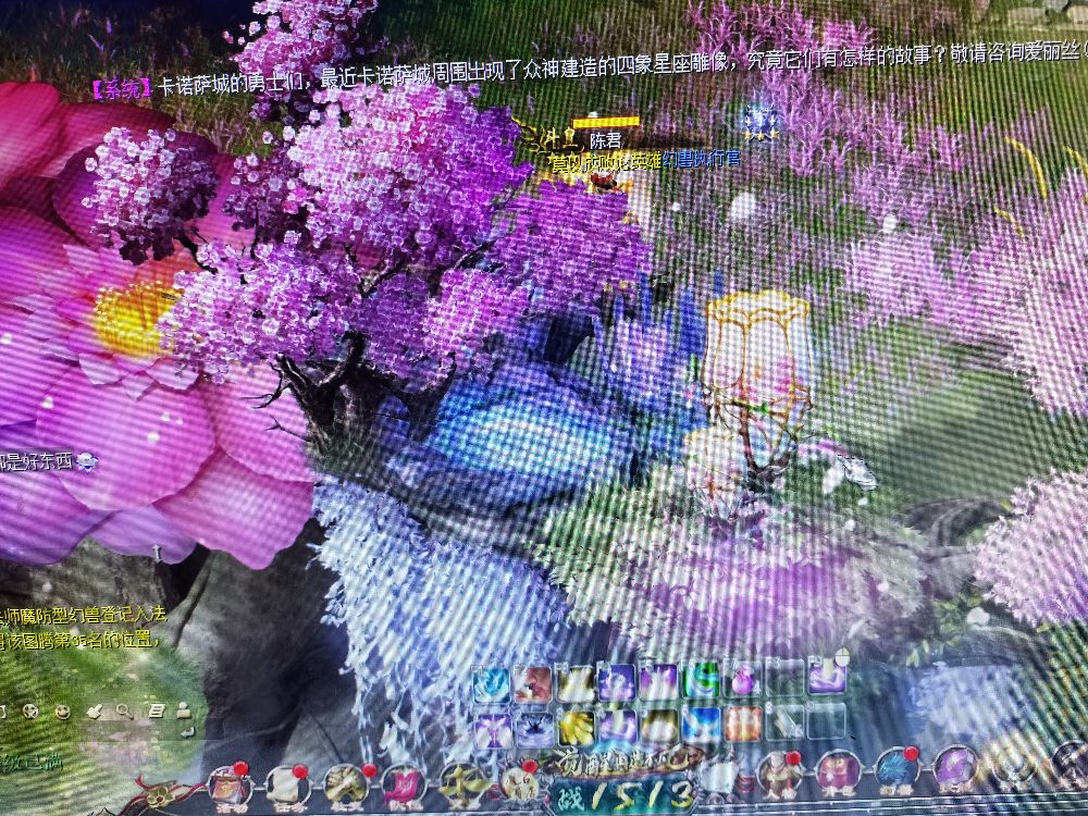 单身狗的自娱自乐