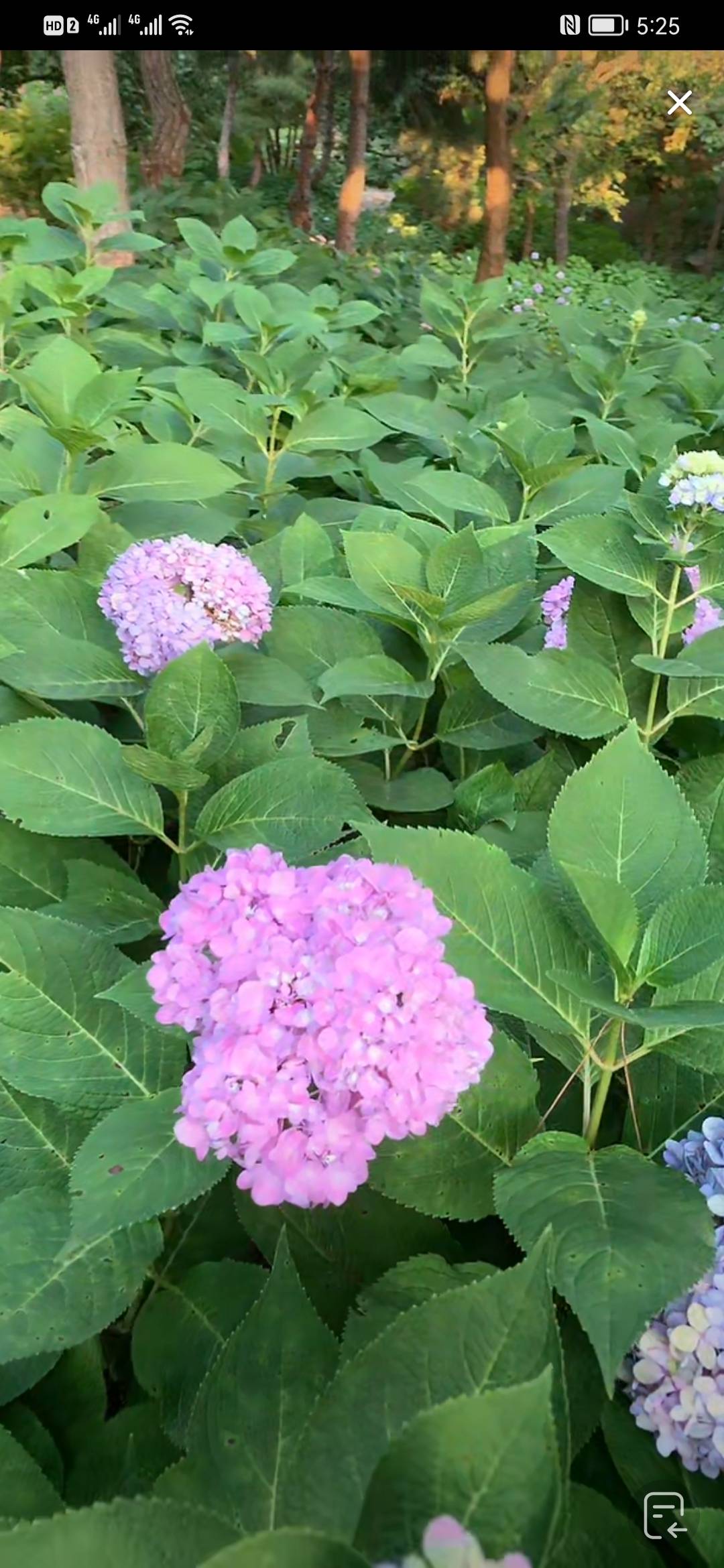 春暖花开