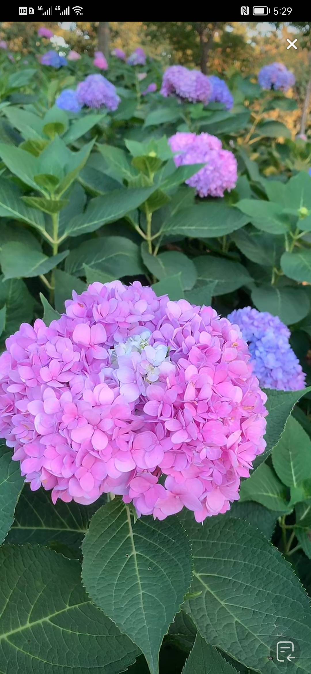 春暖花开