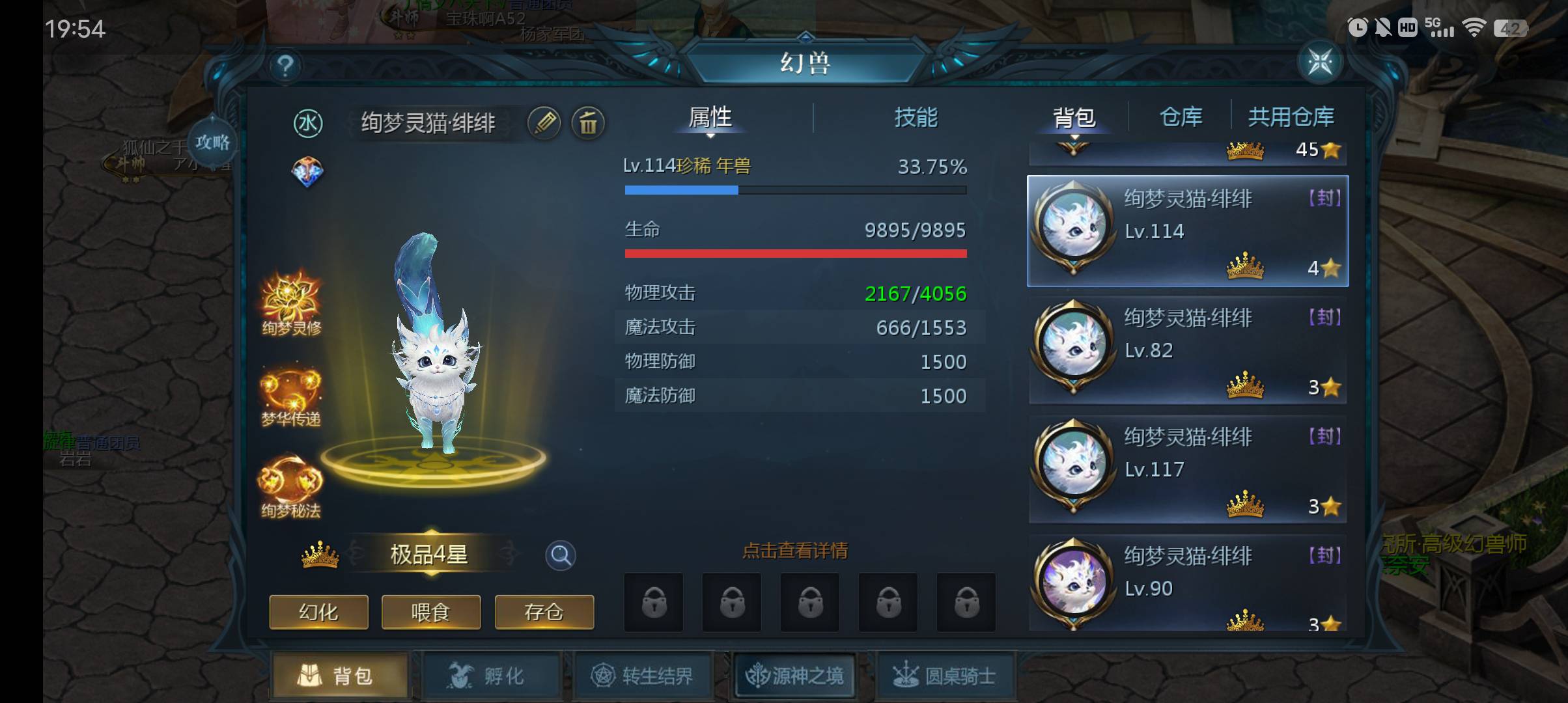 四个小可爱猫咪