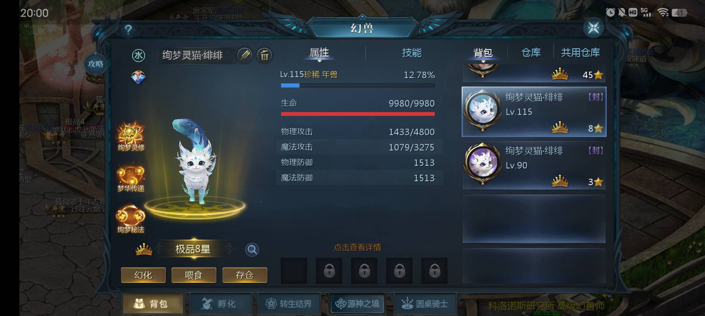 四个小可爱猫咪