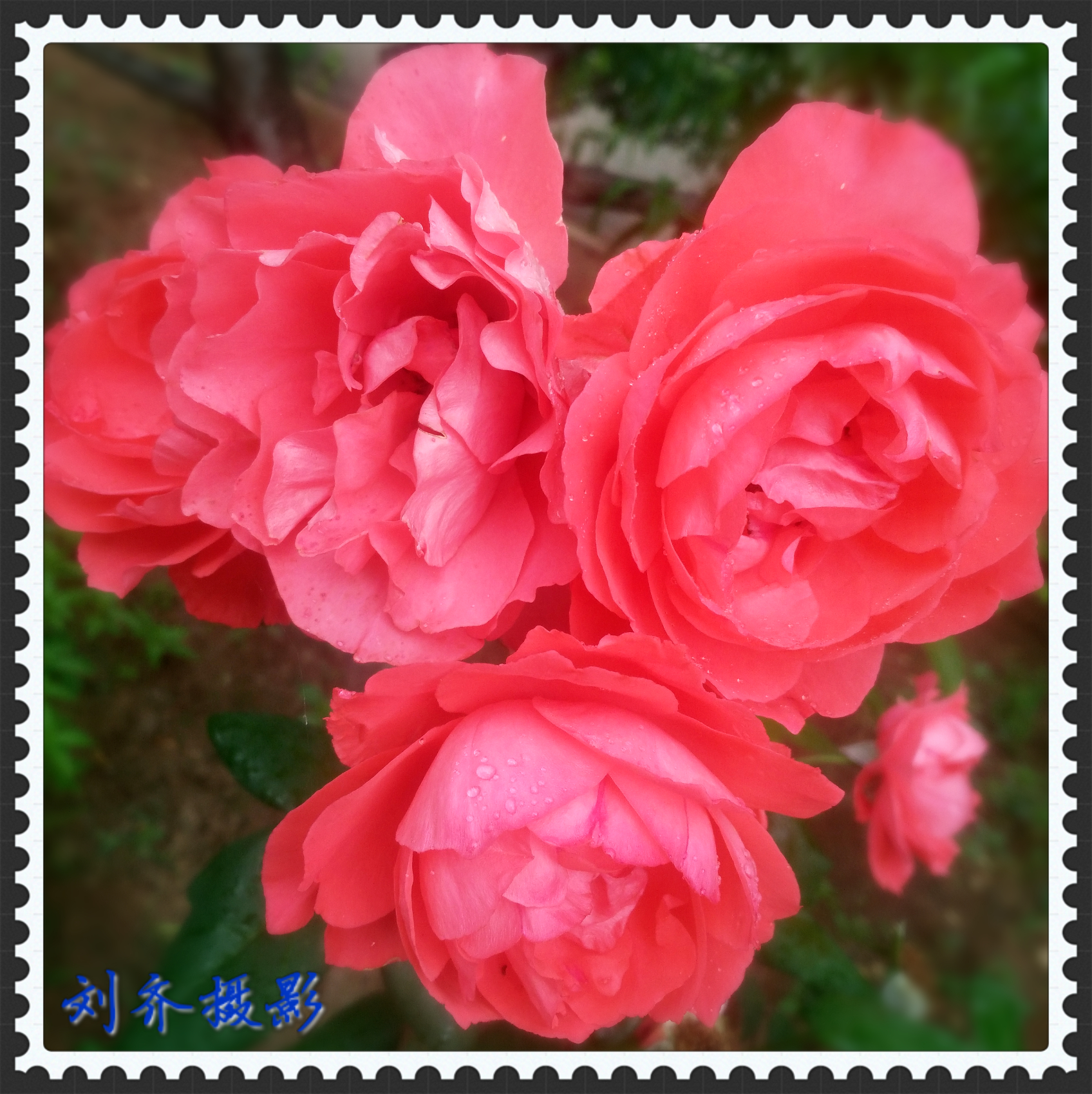 春花烂漫