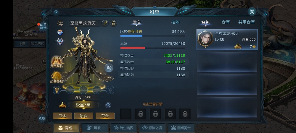 龙年兽