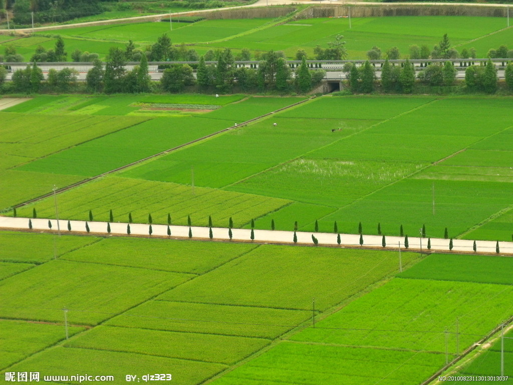 一片田