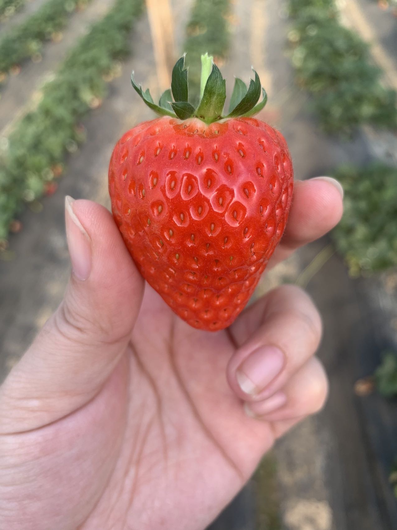 魔域世界有你更精采！