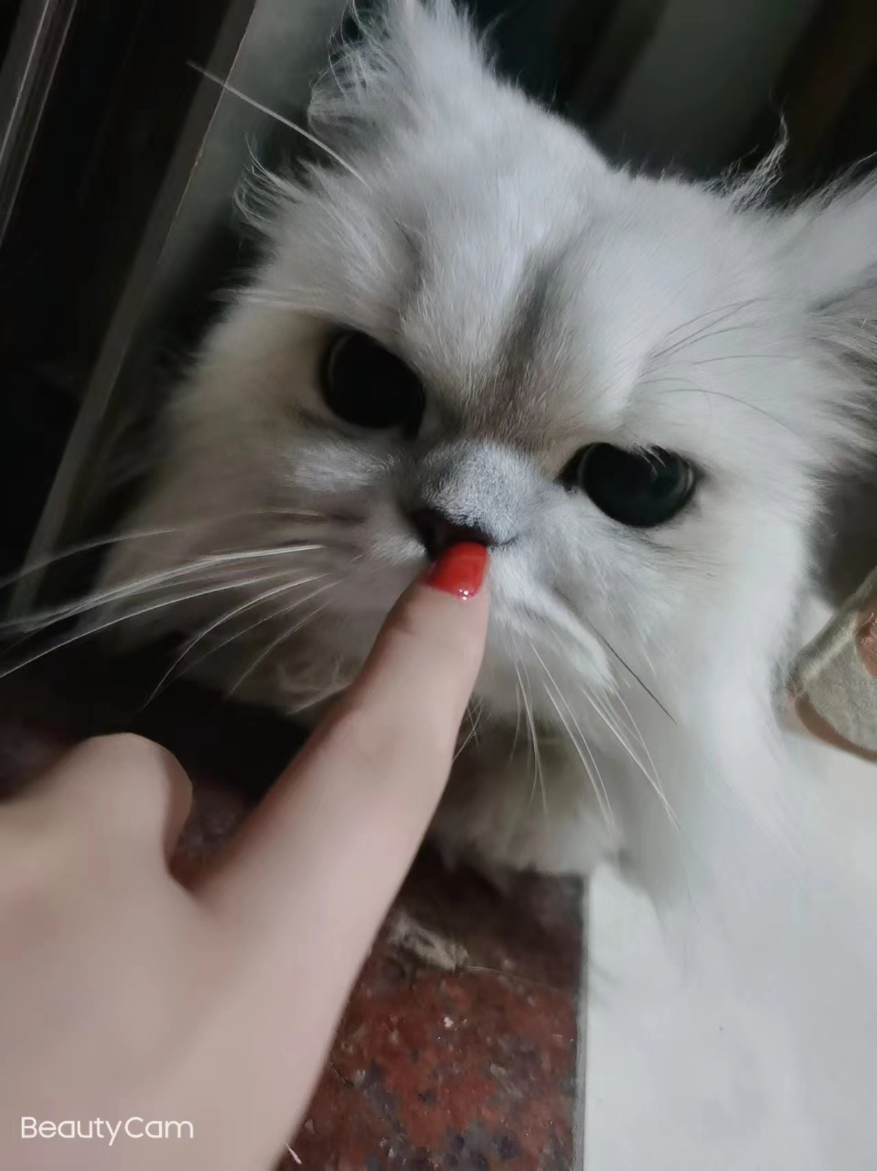 有人和你一起过生日是种什么体验