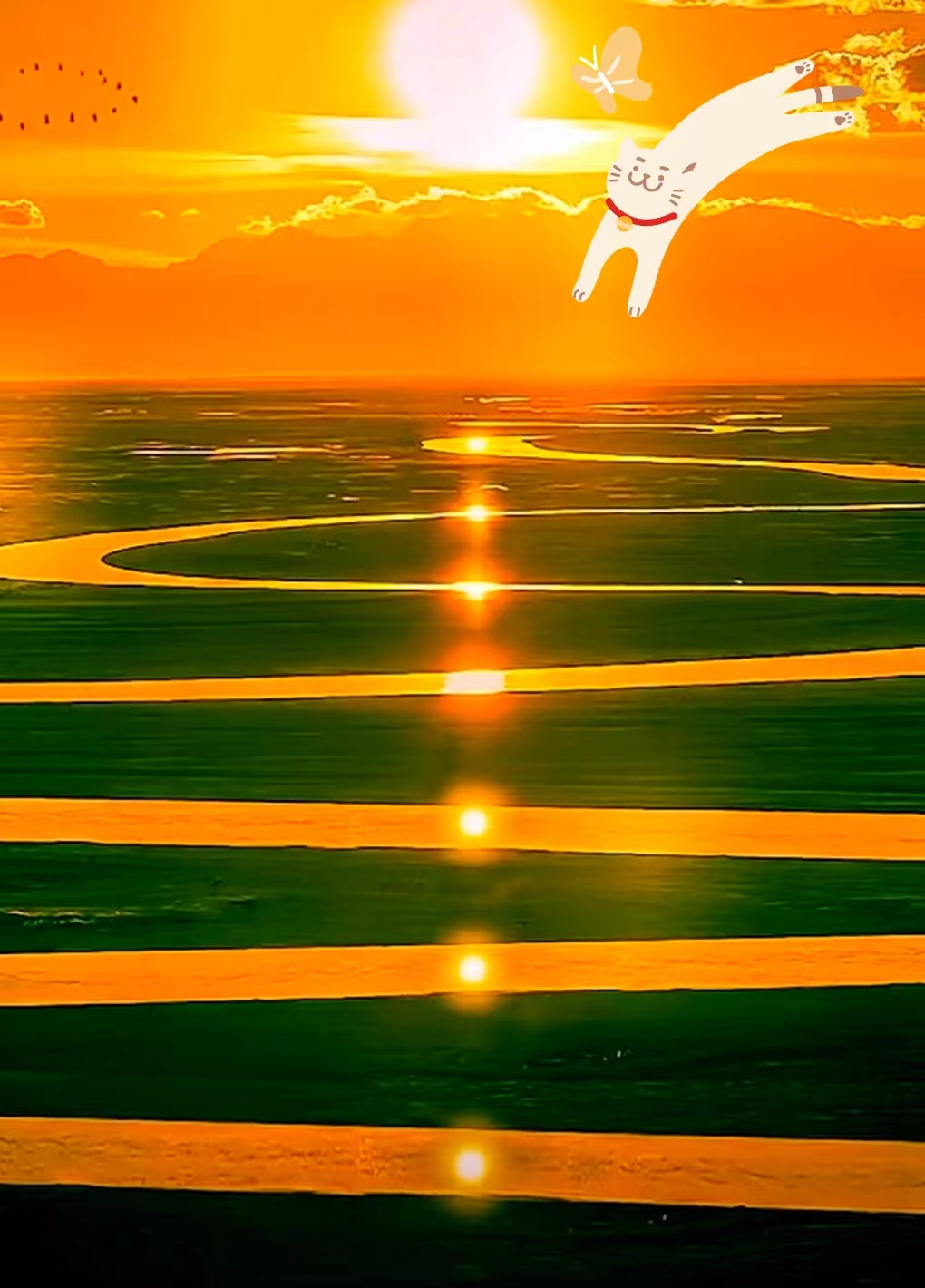 看看这7个太阳长这样