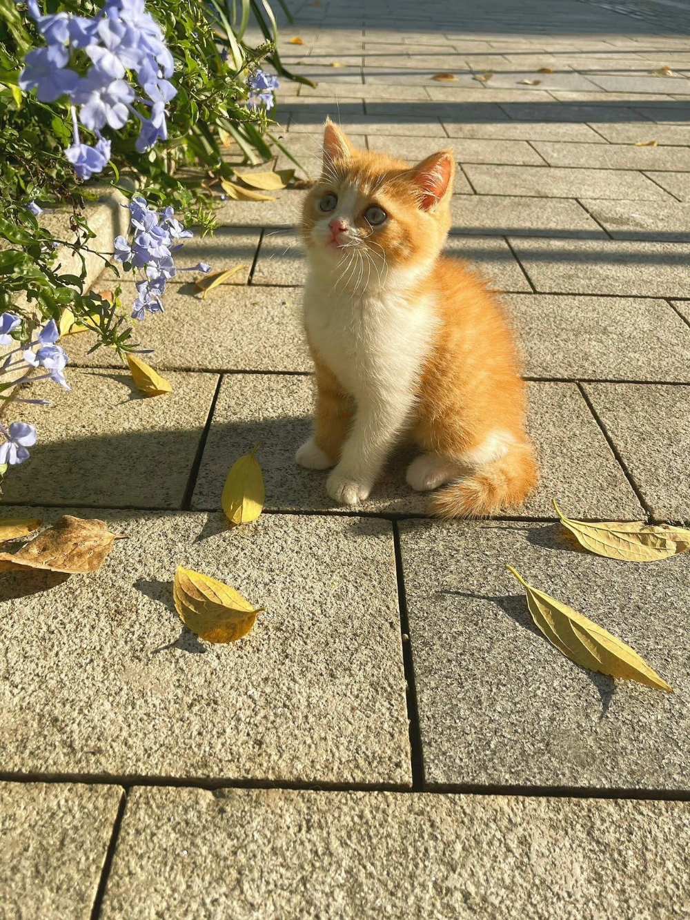 记录下努力成果