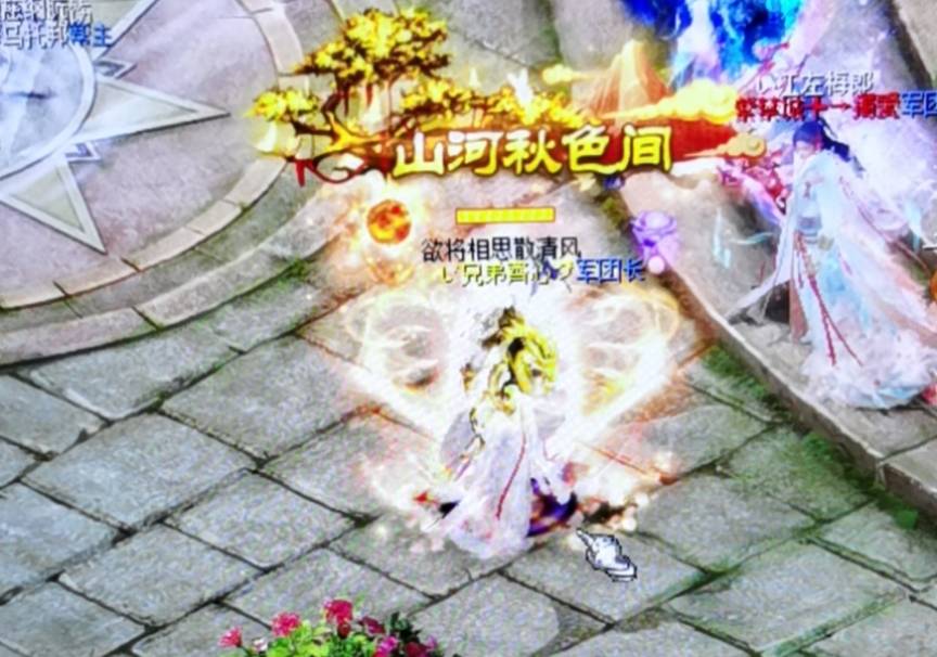 我和小伙伴们