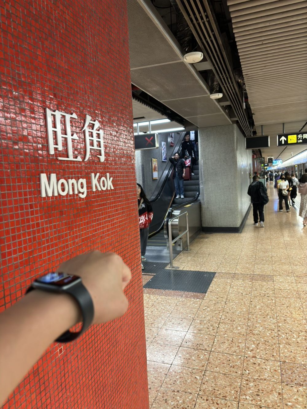 本靓仔现在香港