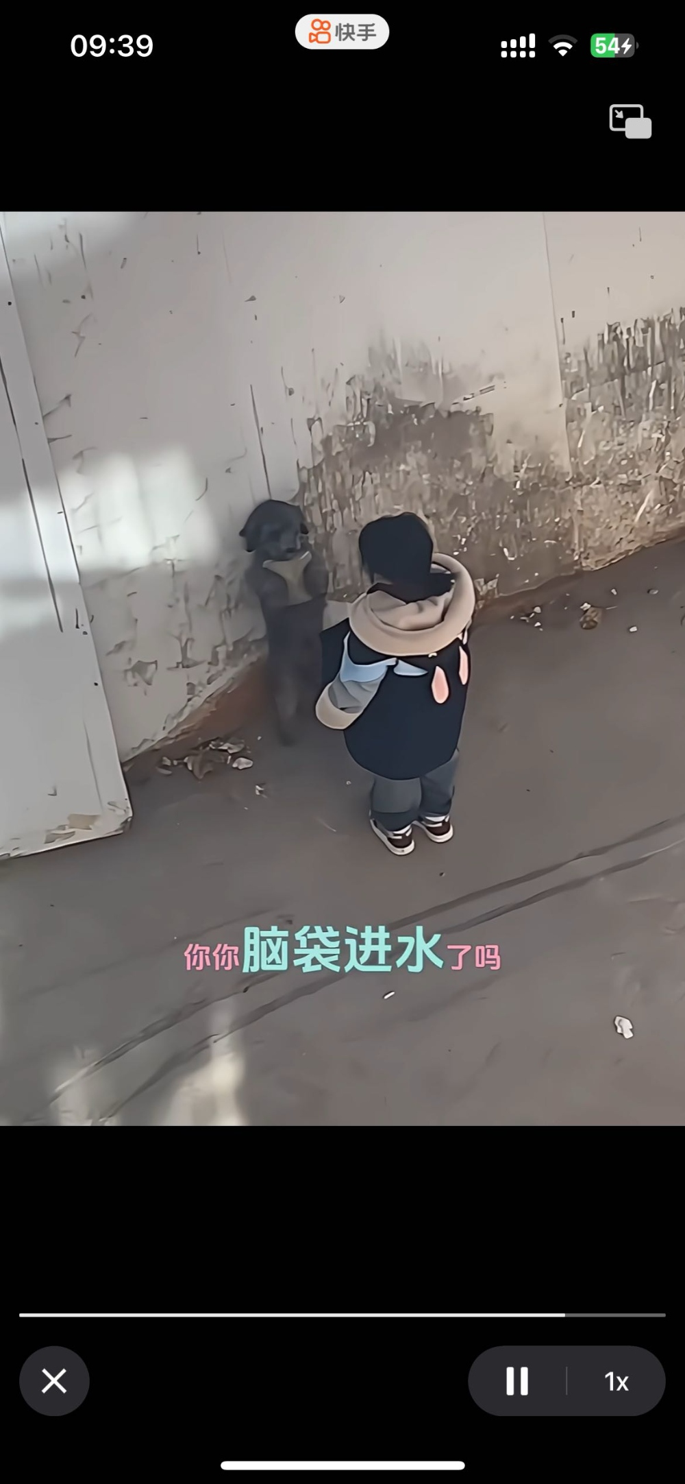 前程似锦