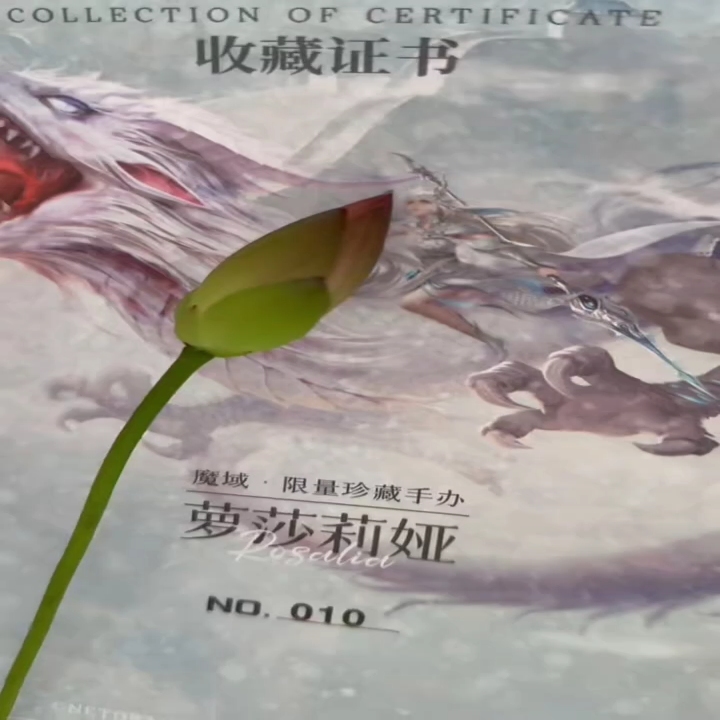 莲花即将绽放！期待下惊艳一号！