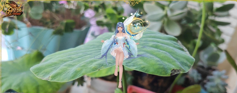 种植莲花和游戏角色互动