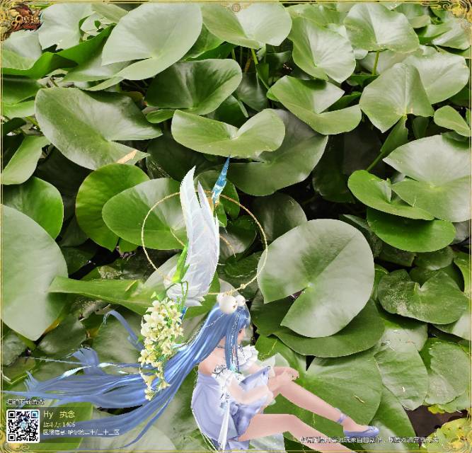 带着神子去游玩