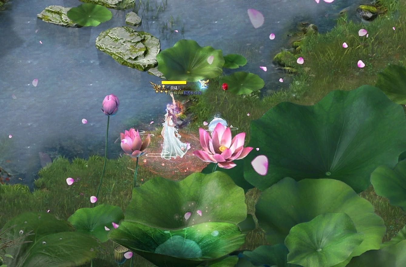 花魁赛  加油吧