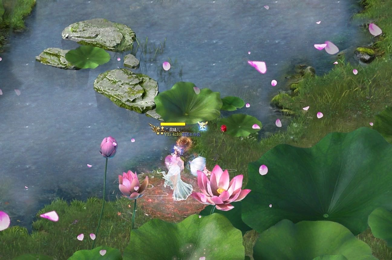 花魁赛  加油吧