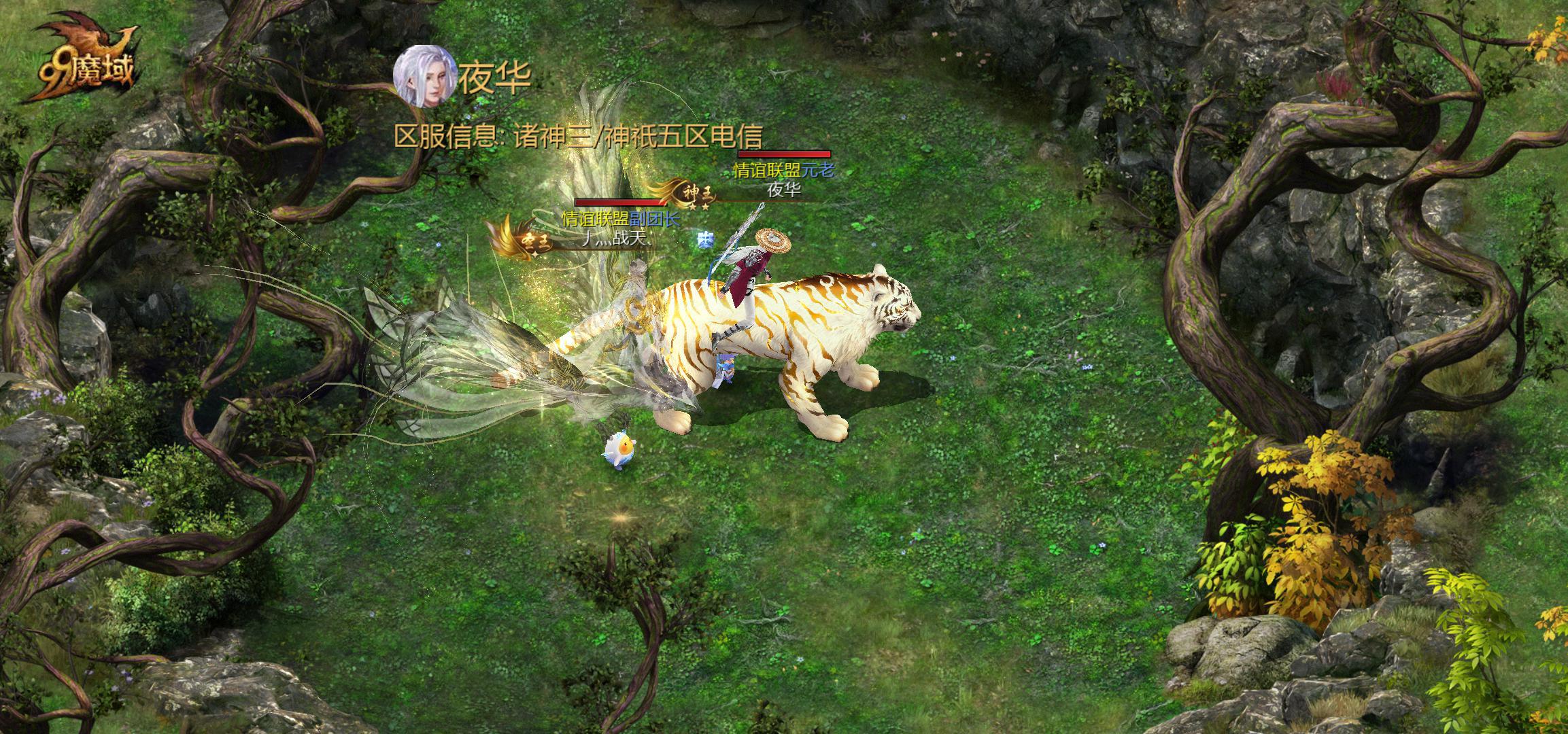 家伙