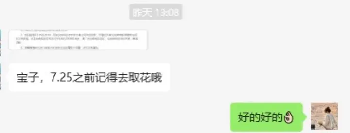 被遗忘的花🌸