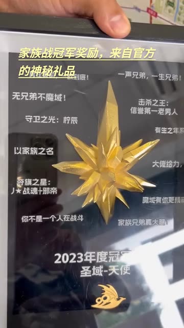 #魔域 跨服家族战冠军独属神秘