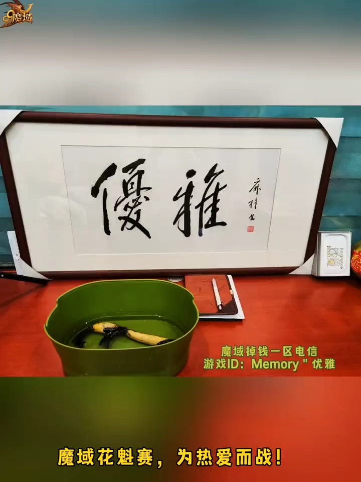 小莲花成长日记，播种期实拍记录