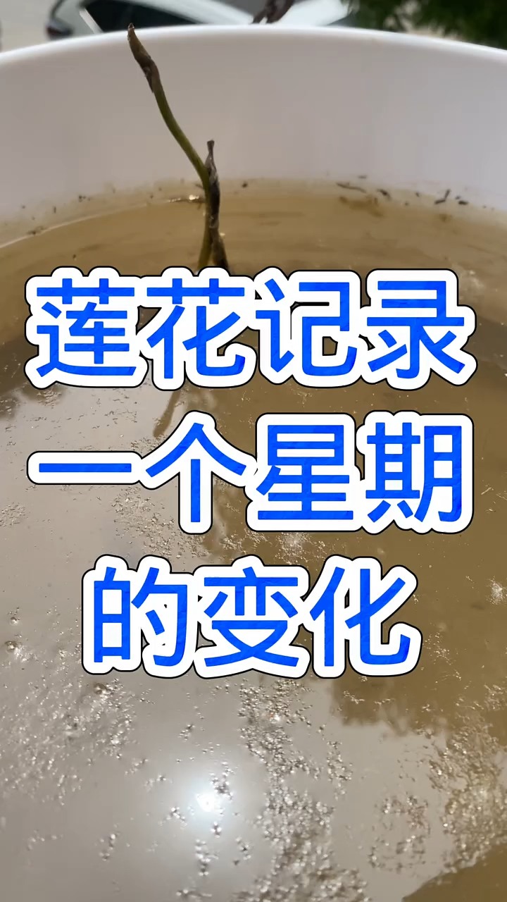 #魔域达人秀 