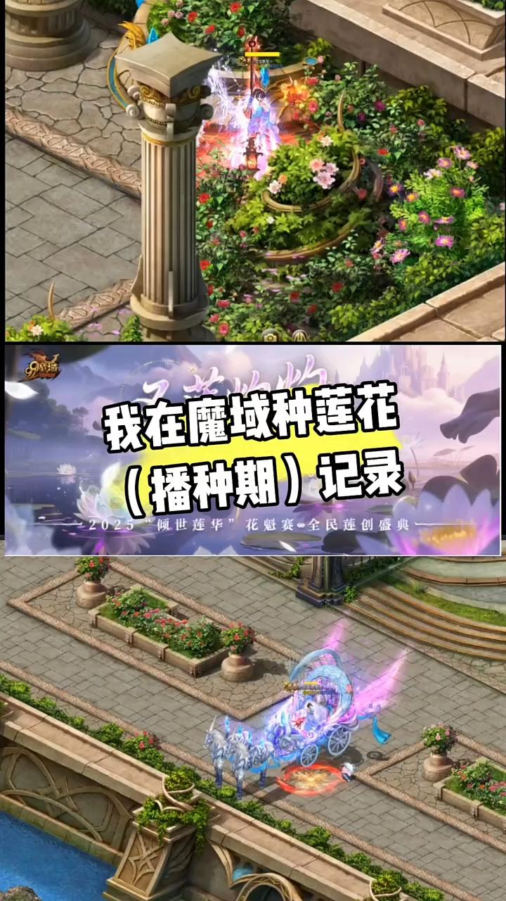 #魔域达人秀 我在魔域种莲花（